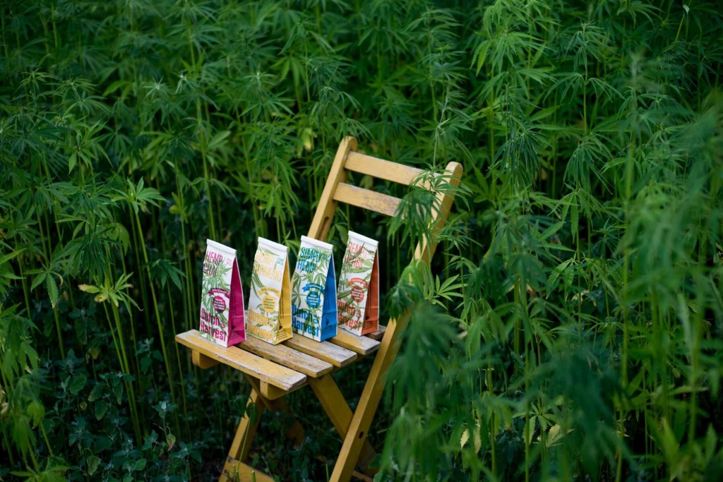Hemp & Curcuma - Tisana di Canapa & Curcuma 50 grammi - Dutch Harvest tè sfuso