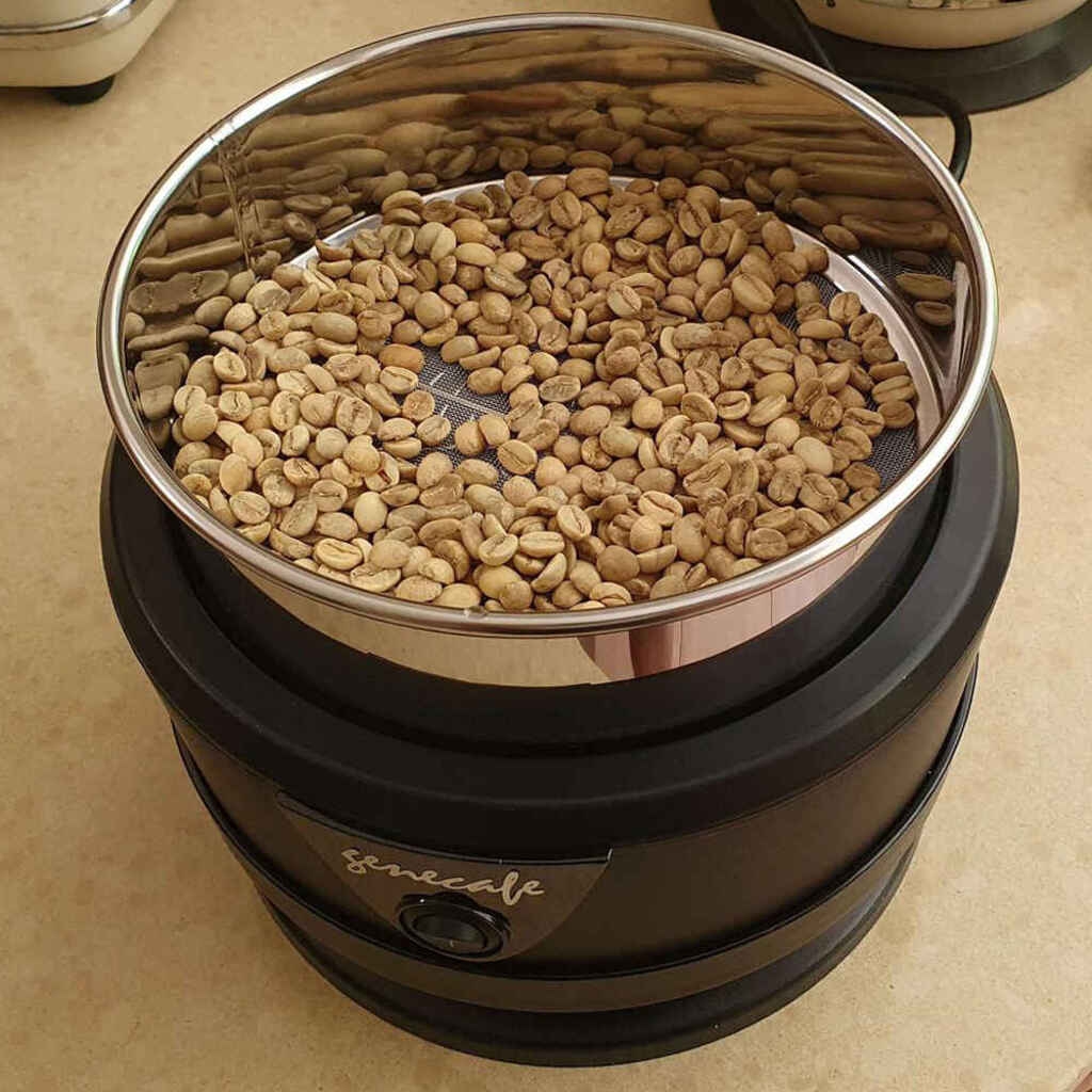 Gene Café CBR101 tostacaffè incluso CBC101 raffreddatore