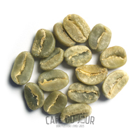 Chicchi di caffè verdi