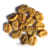 Chicchi di caffè nella fase gialla